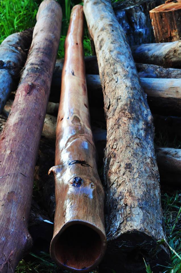 O'Meara Didgeridoos